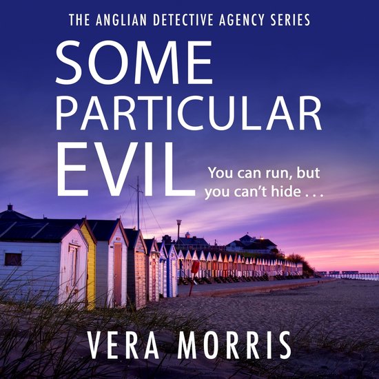The Anglian Detective Agency Series1- Some Particular Evil - cover