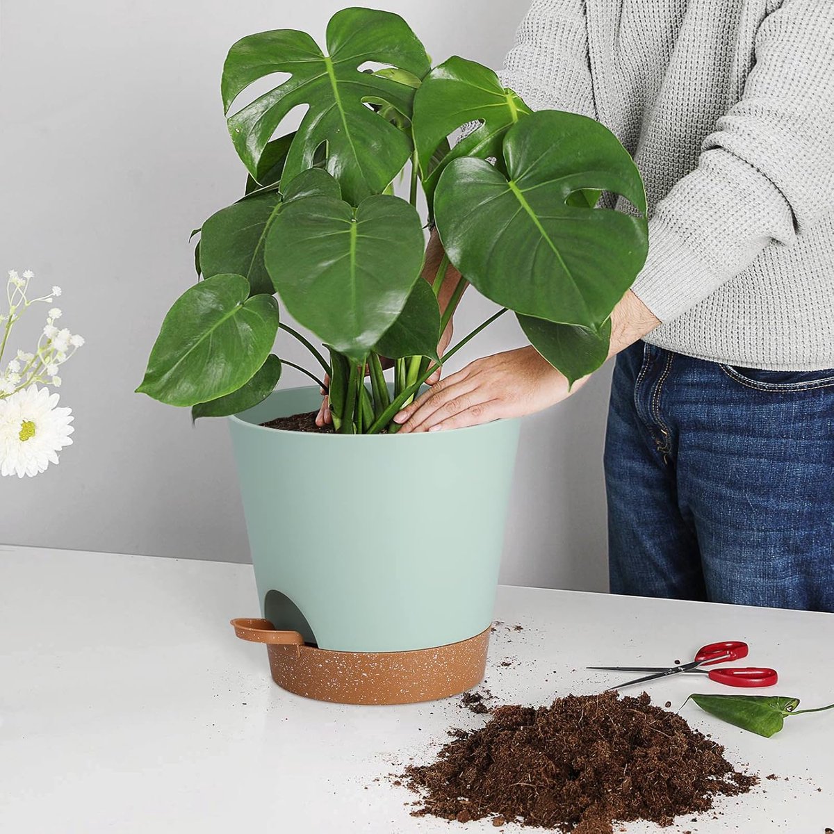 Bloempotten voor binnen, 7/6,5/6/5,5/5 inch, zelfwaterende plantenbakken met drainagegat, plastic bloempotten voor vetplanten, Afrikaans viooltje (groen) — cadeau in Wonen & Interieur - foto 6
