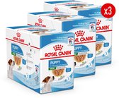 Royal Canin Mini Puppy Wet - 36 x 85 g