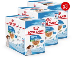 Royal Canin Mini Puppy Wet - 36 x 85 g