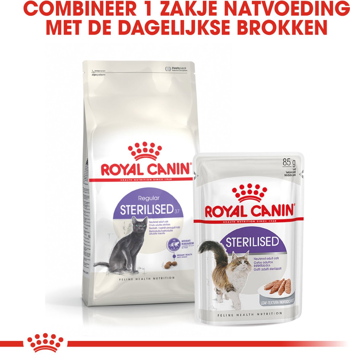 Royal Canin Sterilised 37 - Voer voor gesteriliseerde katten (2x10kg) thumbnail 4