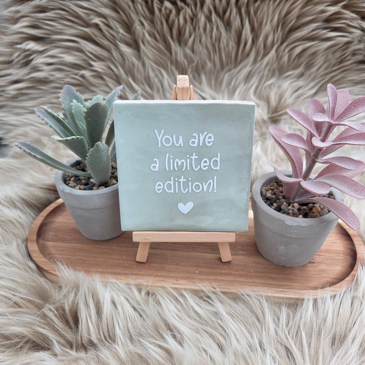 CreaCraft Robuust Wenstegeltje – You Are a Limited Edition – Speels – Hip trendy tegeltje – 10x10 cm – Uniek Cadeau voor Vriendin, Juf, Tante, Zus of Collega – Stijlvolle Woondecoratie met Boodschap – Trendy nu – Decoratief Tegeltje met Standaard – Cadeau Idee Mintgroen/Wit