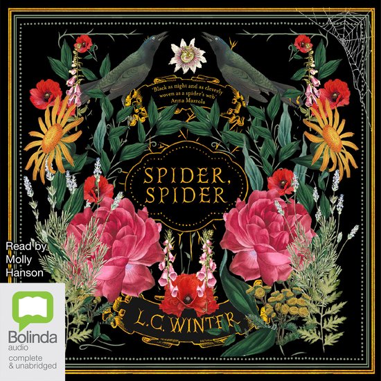 Spider, Spider - cover