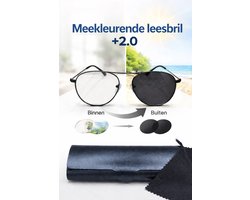 Unisex leesbril met meekleurende glazen +2,0 / photochromic reading glasses / sunreader 2405 / chameleon bril / fotochroome grijze lenzen +2.0 / bril met brillenkoker en microvezel doek / zonnebril / lunettes de soleil / Aland optiek