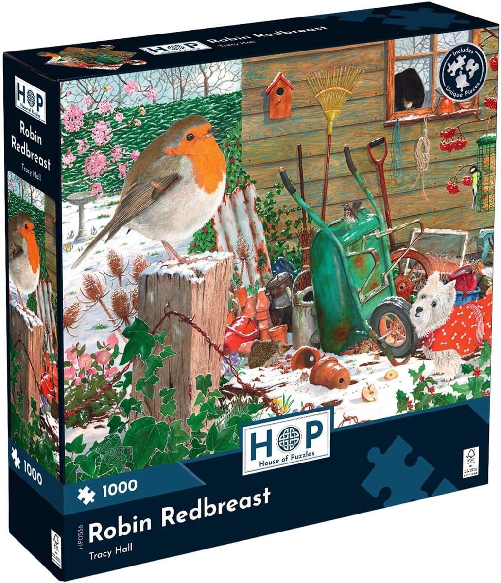 Legpuzzel - 1000 Stukjes - Ontspanning Thuis - Unieke Stukjes - 40 x 27 cm