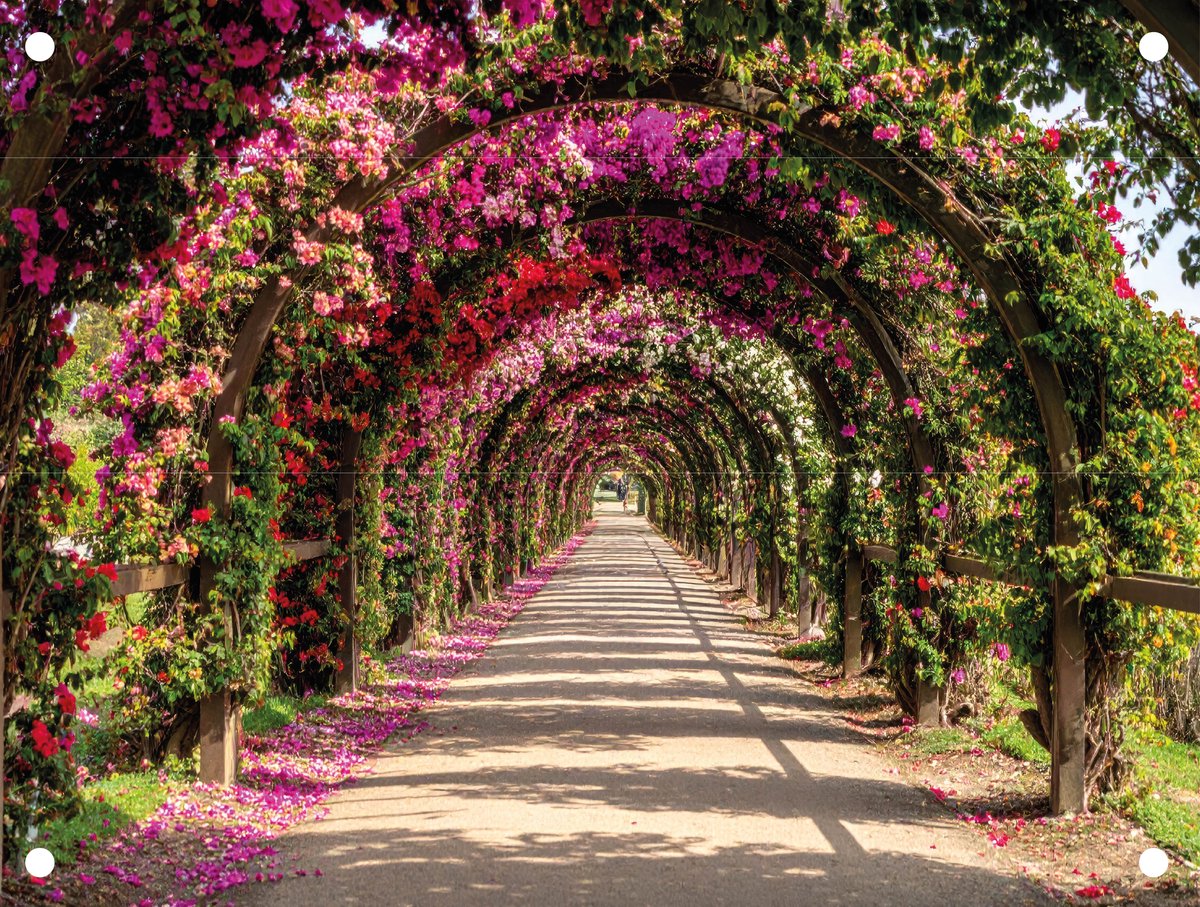 Tuinposter Bloemen tunnel