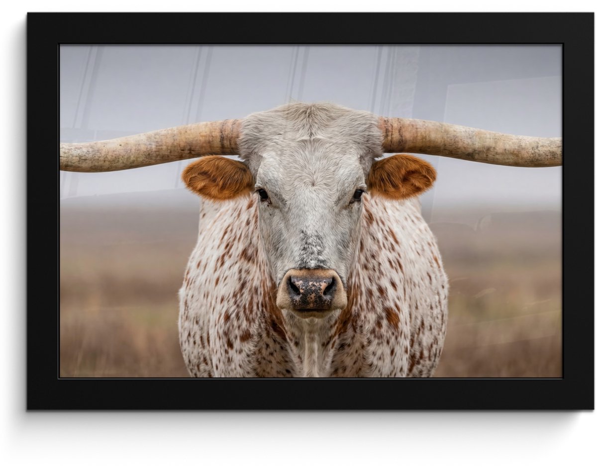 FrameYourWall Poster in lijst - Fotolijst 30x20 cm - Posters - Longhorn - Grasveld - Dier - Posterlijst zwart - Decoratie - Wanddecoratie woonkamer - Muurdecoratie slaapkamer