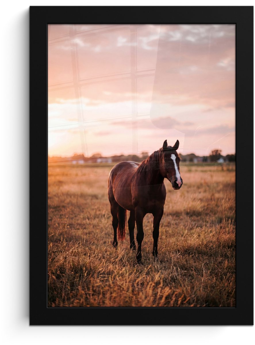 FrameYourWall Poster in lijst - Fotolijst 20x30 cm - Posters - Paard - Zonsondergang - Bruin - Posterlijst zwart - Decoratie - Wanddecoratie woonkamer - Muurdecoratie slaapkamer Multicolor