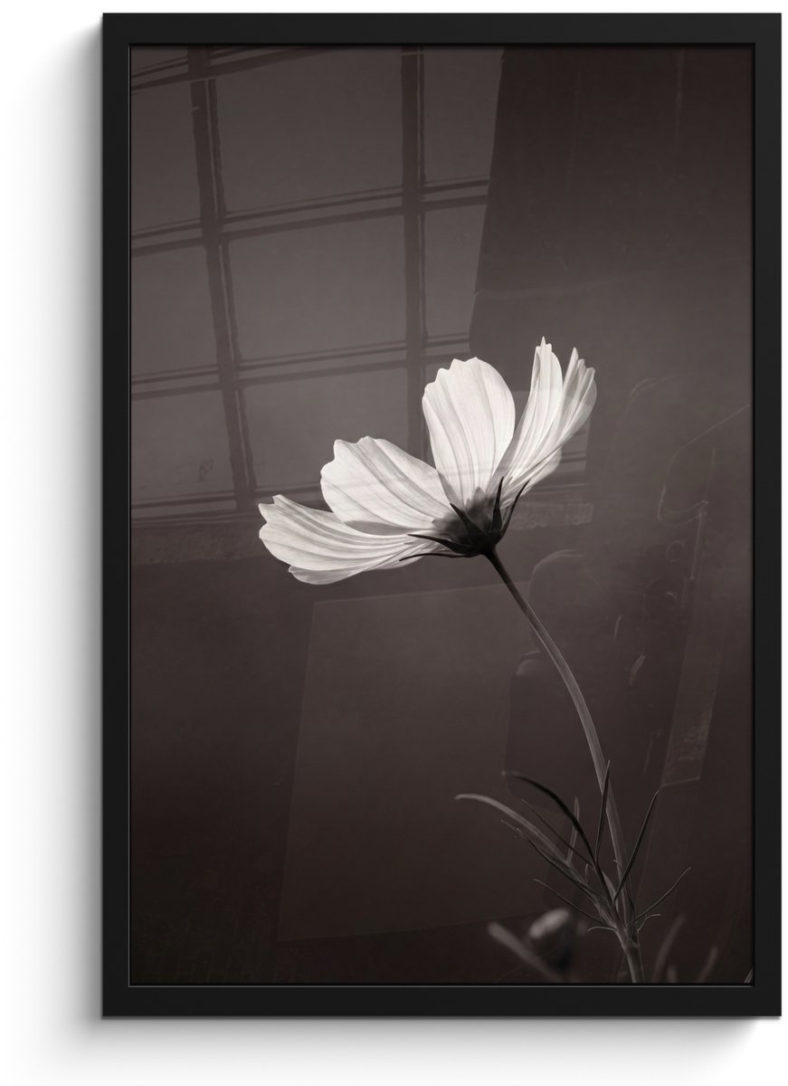 FrameYourWall Poster in lijst - Fotolijst 40x60 cm - Posters - Bloem - Minimalistisch - Zwart - Wit - Posterlijst zwart - Decoratie - Wanddecoratie woonkamer - Muurdecoratie slaapkamer