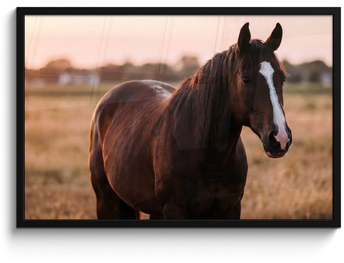 FrameYourWall Poster in lijst - Fotolijst 90x60 cm - Posters - Paard - Zonsondergang - Bruin - Posterlijst zwart - Decoratie - Wanddecoratie woonkamer - Muurdecoratie slaapkamer Multicolor