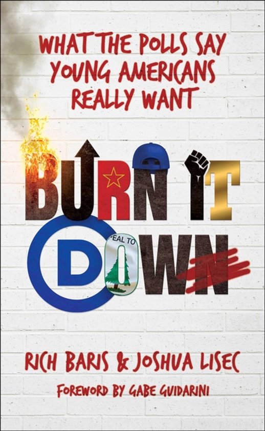 Boekomslag "Burn It Down" met tekst "WHAT THE POLLS SAY YOUNG AMERICANS REALLY WANT" en afbeeldingen van een vlam, een ster, een pet en een vuist.