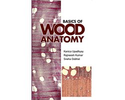 Basics of Wood Anatomy