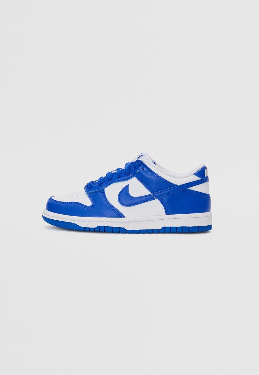 Nike Dunk Low Sneakers Unisex Blauw