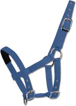 Halster Voor Mini Shetty |