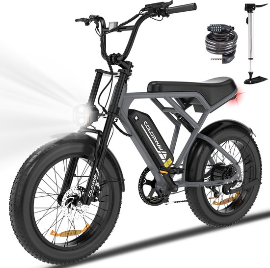 Elektrische fiets Colorway BK29G 20×4 inch fatbike 250W, 25 km/u, afneembare batterij, schijfrem, IP54 waterdicht