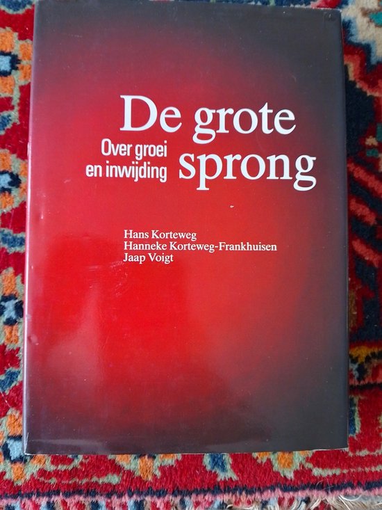 Voorplat van het boek 'De grote sprong, over groei en inwijding' met een rode glans.