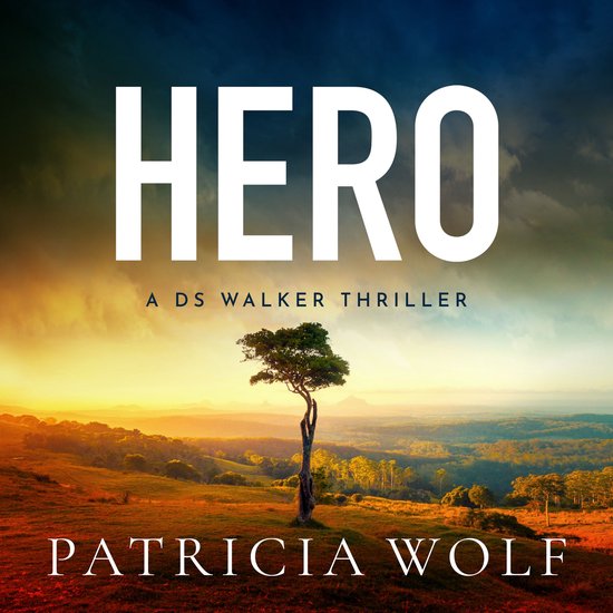 Hero - cover
