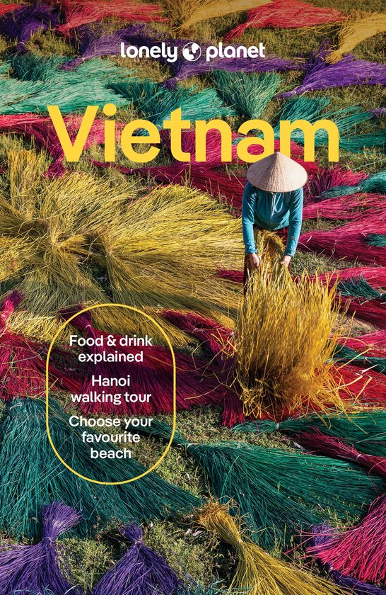 Travel Guide - Lonely Planet Vietnam - cover