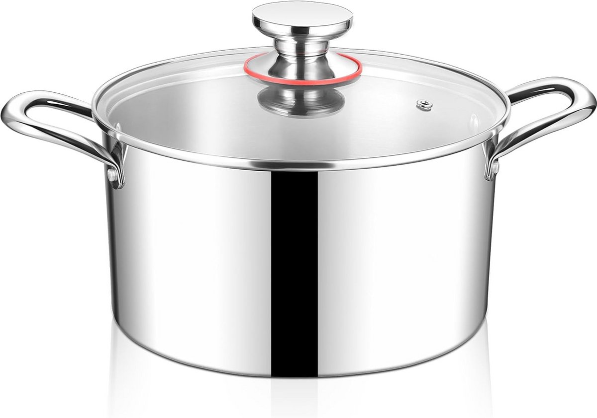 Grote Kookpan 26 cm met Deksel - Inductie en Alle Warmtebronnen - 6.7 Liter RVS