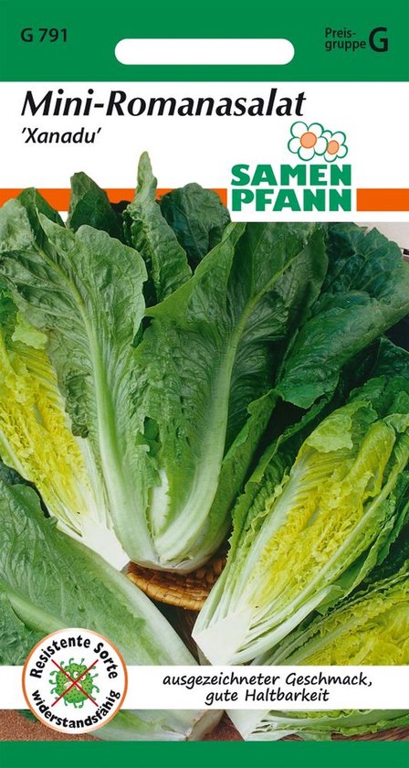 Mini romaine sla, Xanadu – groentezaden, slazaden