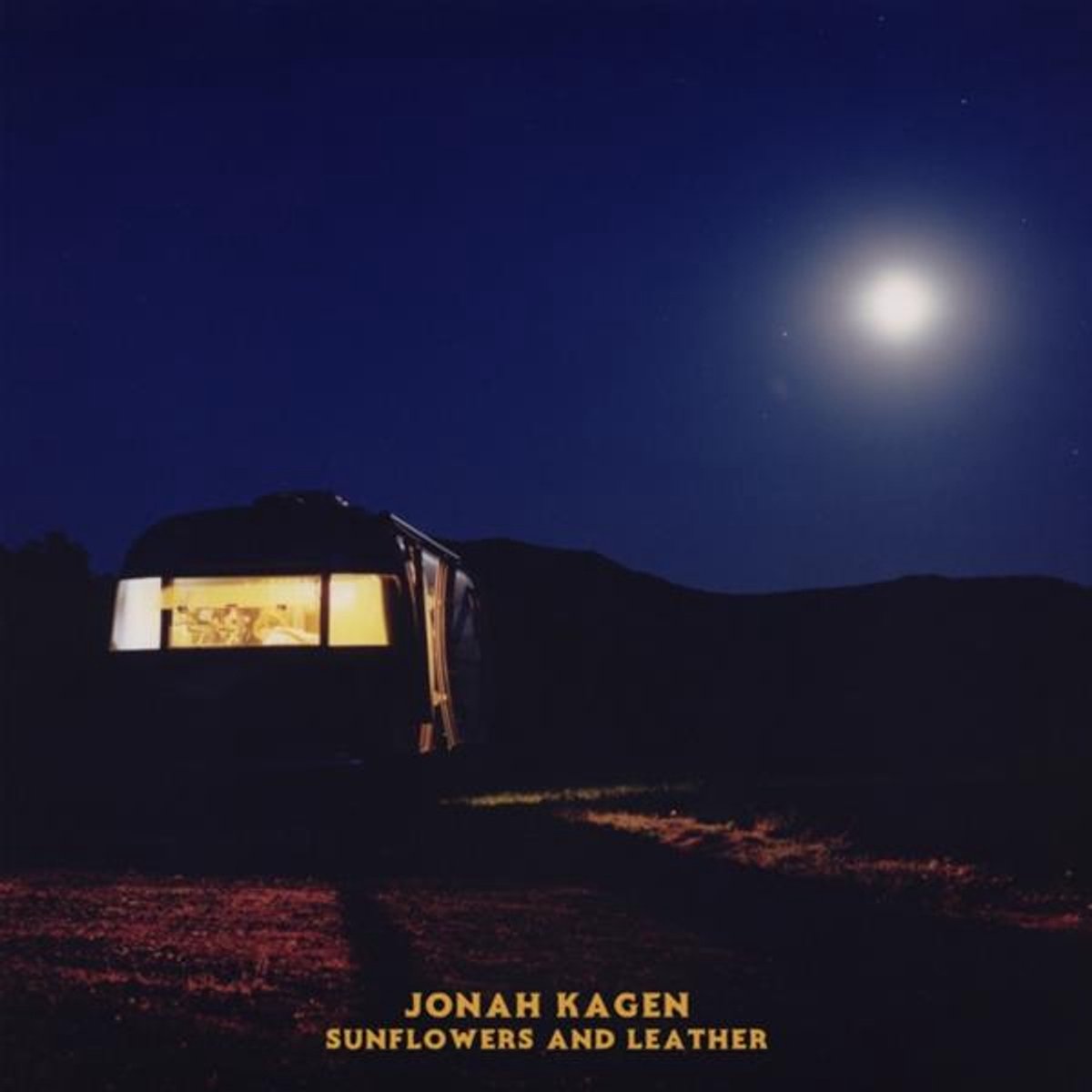 Kagen, Jonah - Sunflowers And Leather (LP)