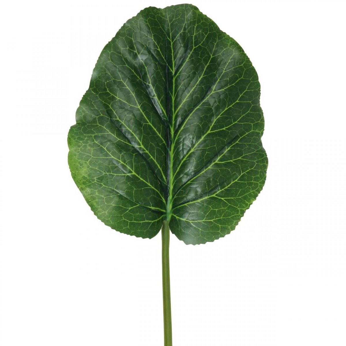 Viana Groene kunstplant Bergenia Groene kunstplant 53cm groente