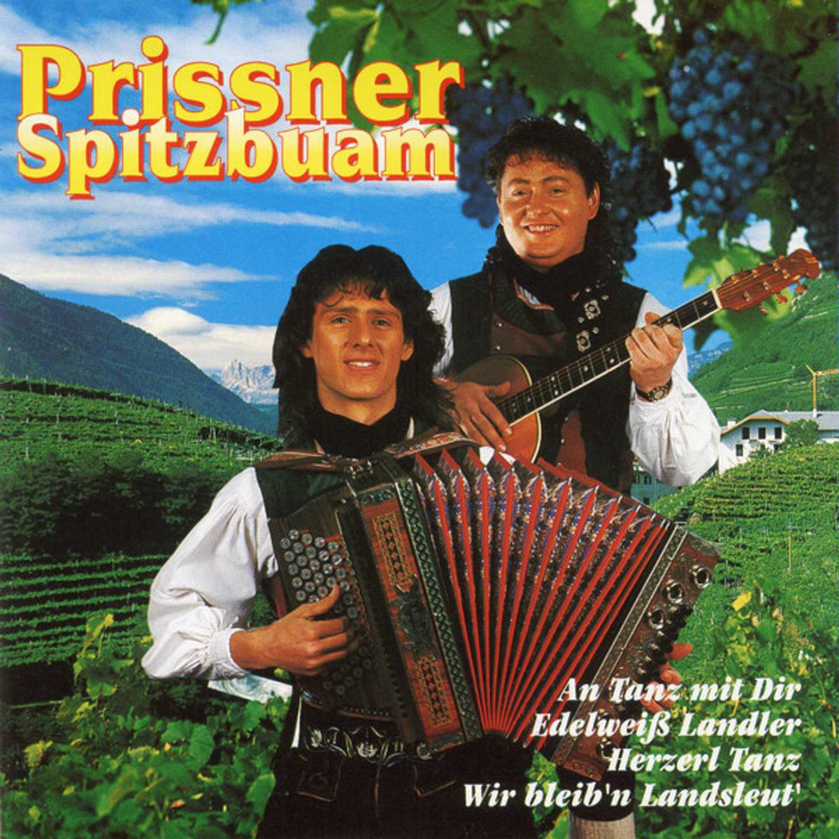 Prissner Spitzbuam - Akkordeon Hits Der Volksmusik Folge 2