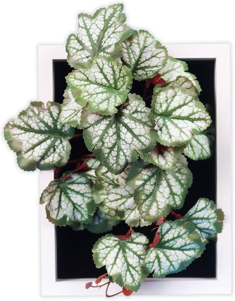 Heuchera Kunstplant in Lijst 25x29cm Kant-en-klaar voor Elke Kamer