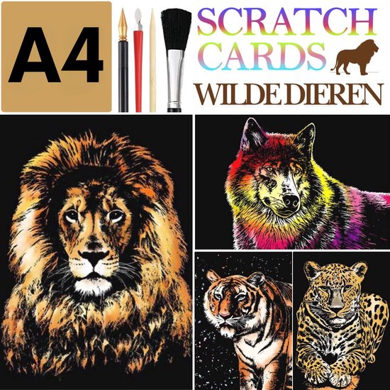 Scratch Art voor volwassenen en tieners