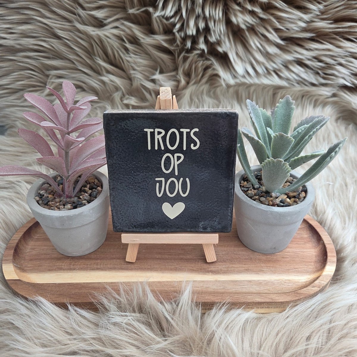 CreaCraft Robuust Wenstegeltje “Trots op Jou” – Lief Cadeautegeltje met Hartje – Trendy nu – Geslaagd – Vriend(in) – Familie – Gezin – Zomaar – Cadeau – Geslaagd – Decoratief Tegeltje met Standaard – Cadeau Idee Robuust zwart/Beige