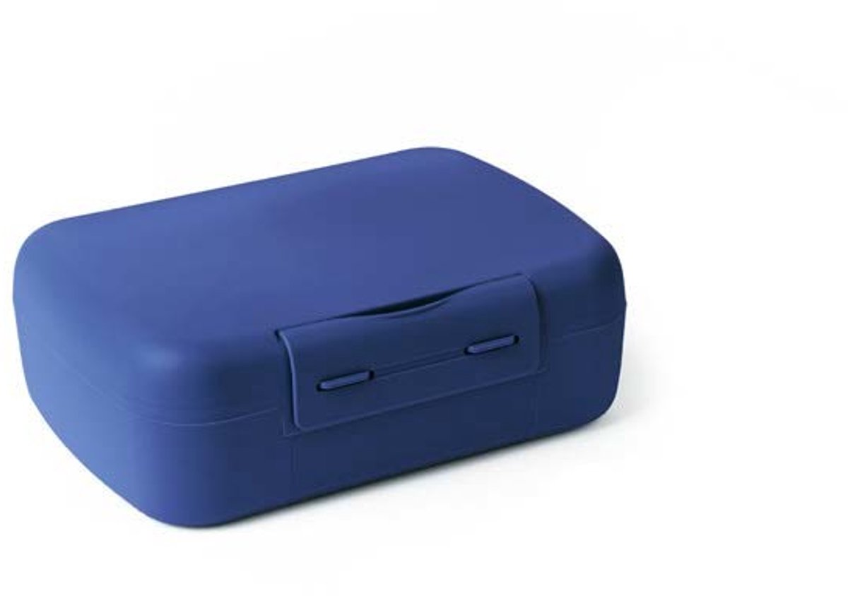 Day To Day Brunchbox Cobalt - 1400ml - Lunchbox met Vakverdeling en Stickers - Praktische Broodtrommel - BPA-vrije Lunchtrommel - Brooddoos Gemaakt in België - 210x150x75mm