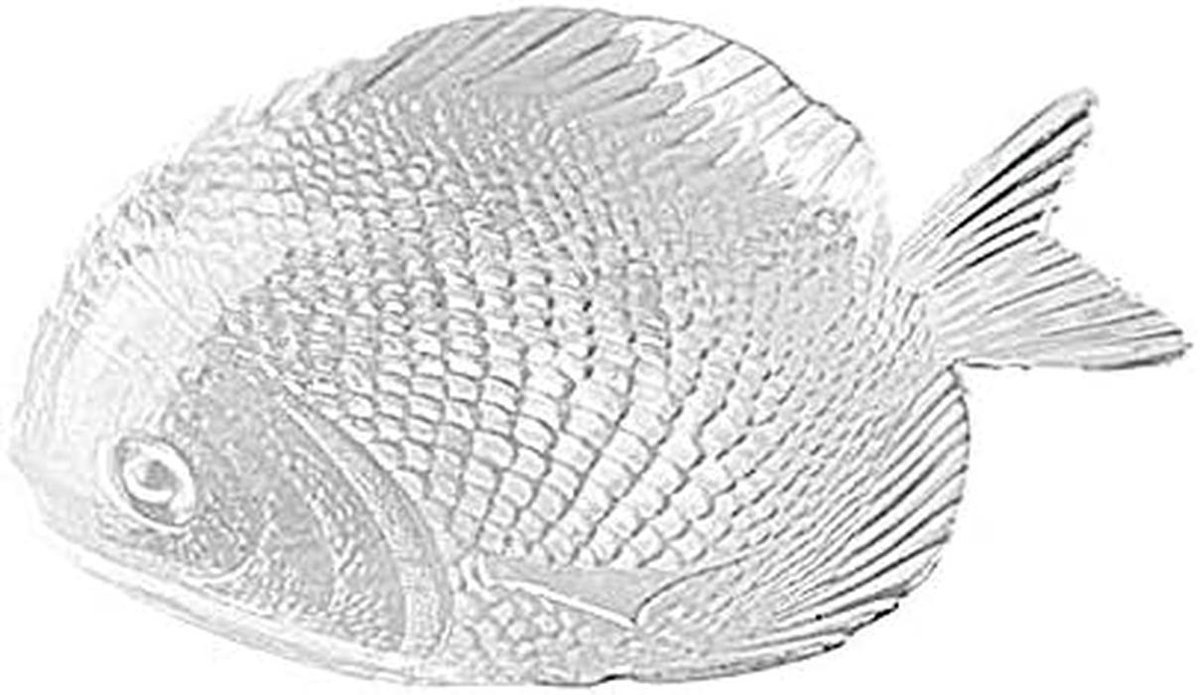 Platte Glazen Serveerschaal Visvorm - 20x16 cm - Gehard Glas