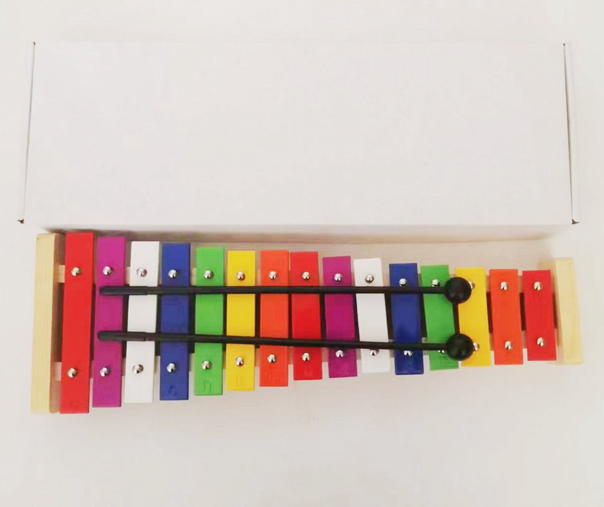 WK Wang Knobbout Xylofoon - Muziek speelgoed voor kinderen - Regenboog 8-toons