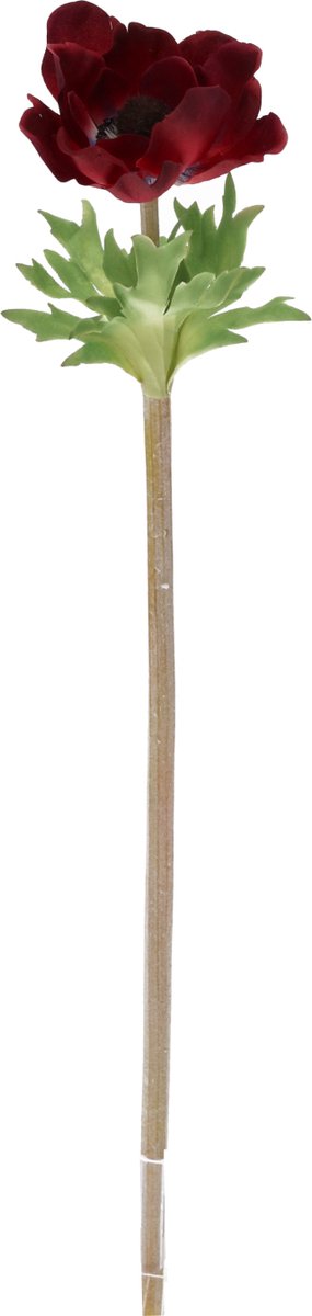 maxifleur Kunstplanten Anemoon Kunstbloem 40cm Burgundy