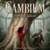 Livre audio numérique