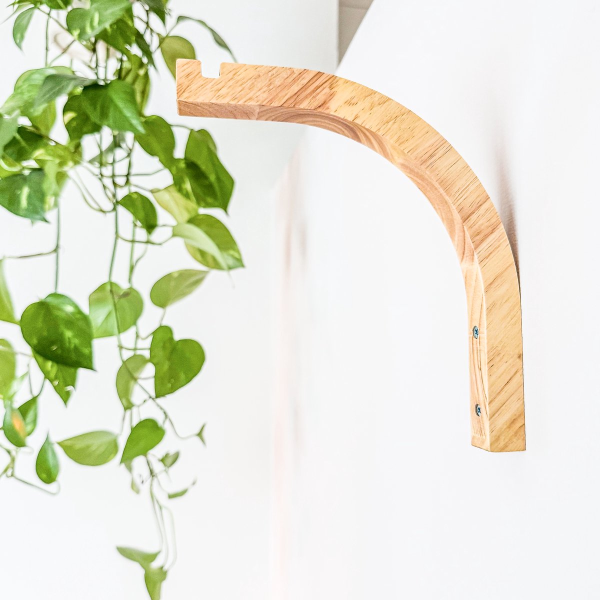WallWood - Wanddrager hout gebogen - plantenhanger - set van 4 - natuurlijk