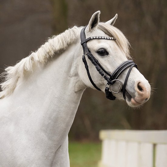 Qhp Hoofdstel Bixie Zwart-Zilver - Pony | Zwart | Hoofdstel paard Qhp Hoofdstel Bixie Zwart-Zilver - Pony | Zwart | Hoofdstel paard