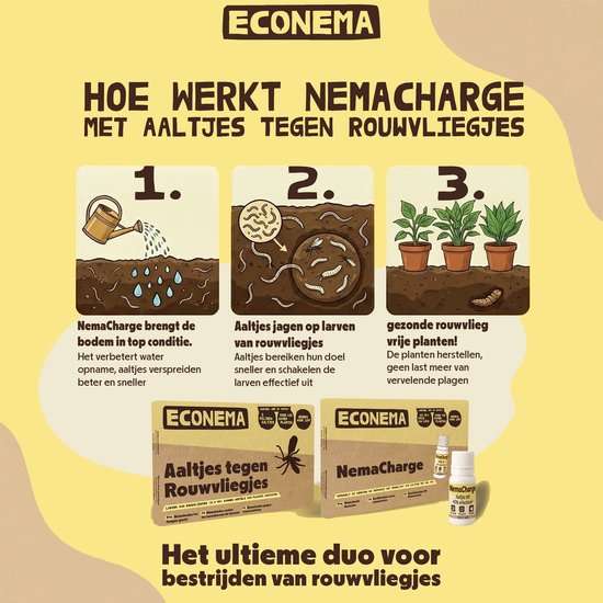 Hoe Econema NemaCharge werkt met aaltjes tegen rouwvliegjes: water geven, bodem verrijken, planten herstellen.