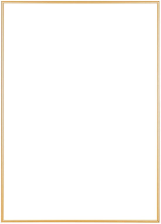 Een goudkleurige fotolijst, volledig rondom, op een witte achtergrond.