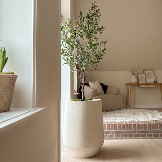Grote, crèmekleurige pot met een olijfboom met olijven, in een lichte woonkamer.