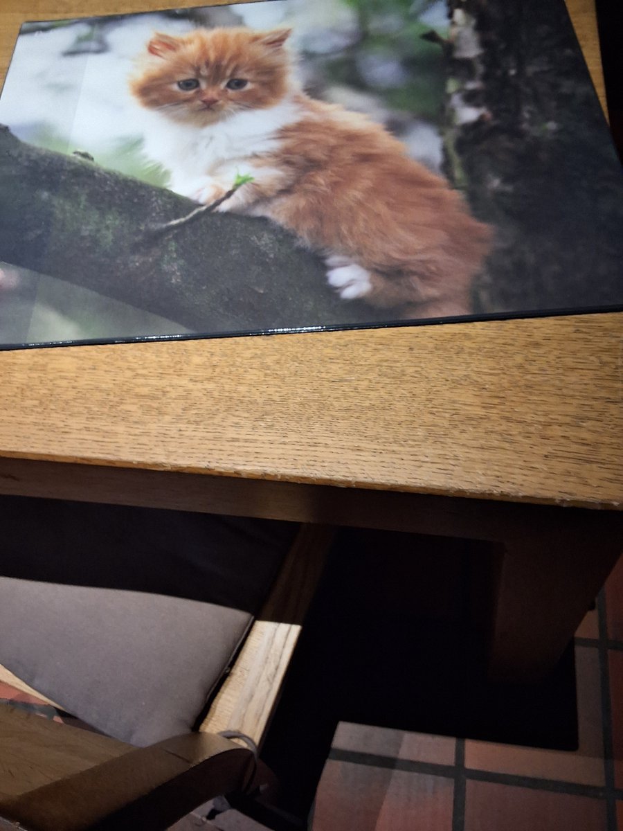 Bureauonderlegger poes 53x40cm