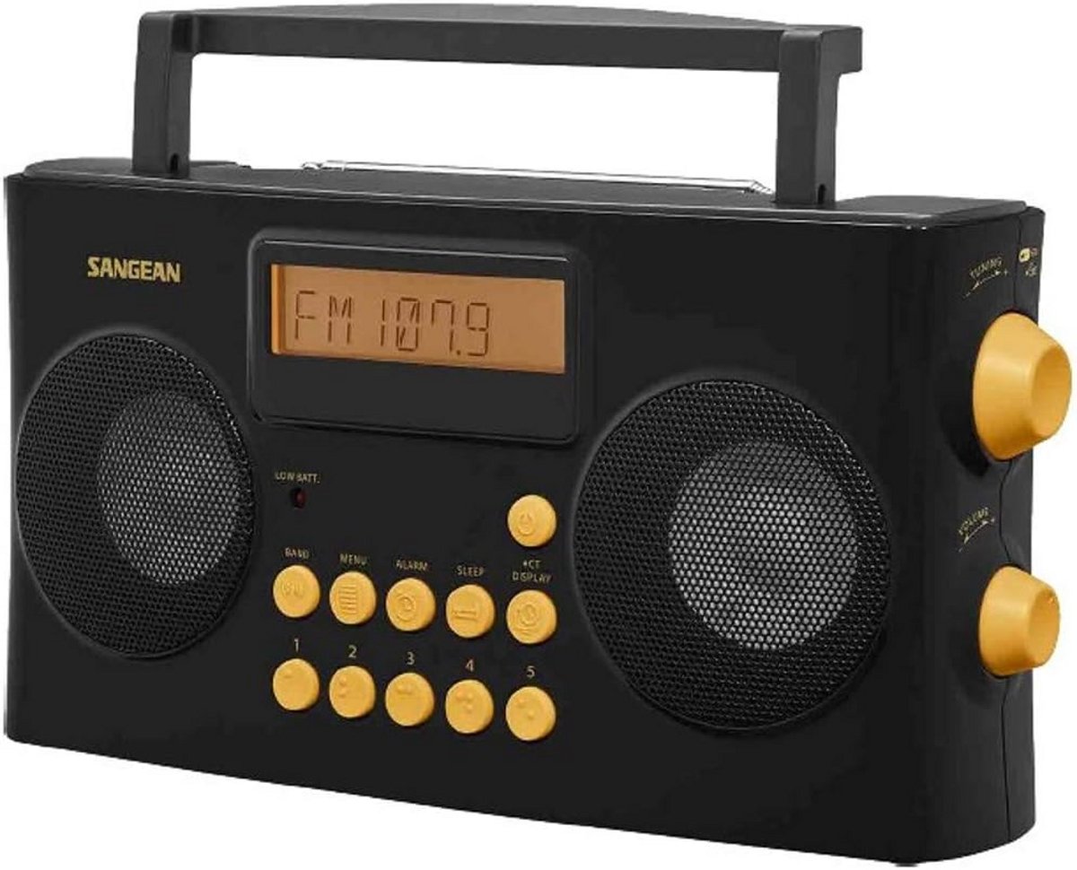 Draagbare Radio voor Slechtzienden - AM/FM-RDS met Gesproken Aanwijzingen en Hoge Contrast Bediening
