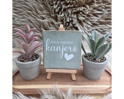Robuust Wenstegeltje – Jullie Zijn Echt Kanjers – Hip trendy tegeltje – Bedankje voor Zorghelden, Team of Collega’s – Stoere en Betekenisvolle Wanddecoratie – Trendy nu – Decoratief Tegeltje met Standaard – Cadeau Idee