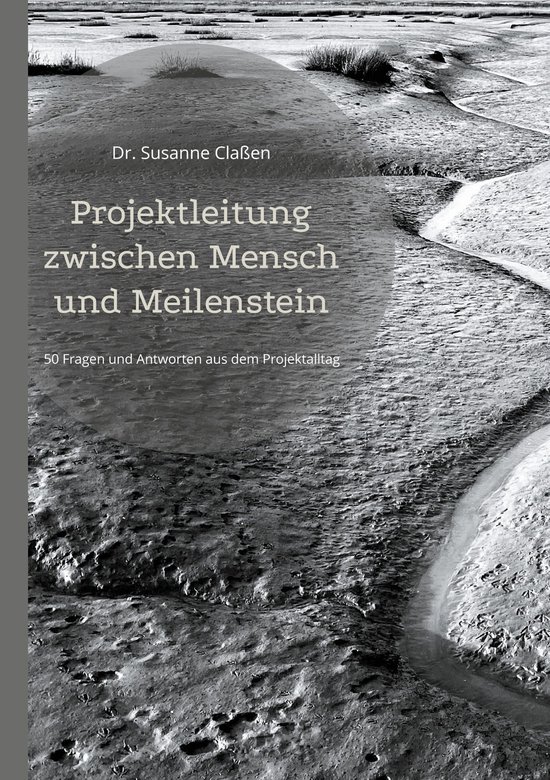Projektleitung zwischen Mensch und Meilenstein - cover