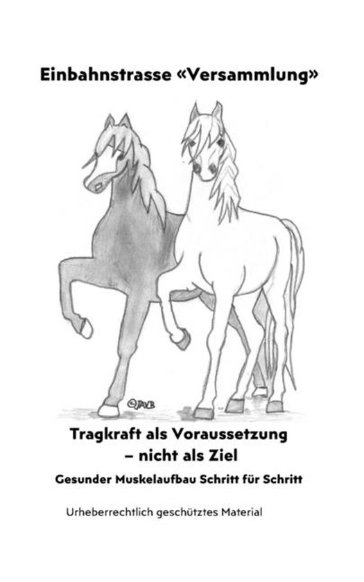 Pferde & Ponys: Chronische Krankheiten, Tragfähigkeit, Musk ... - cover