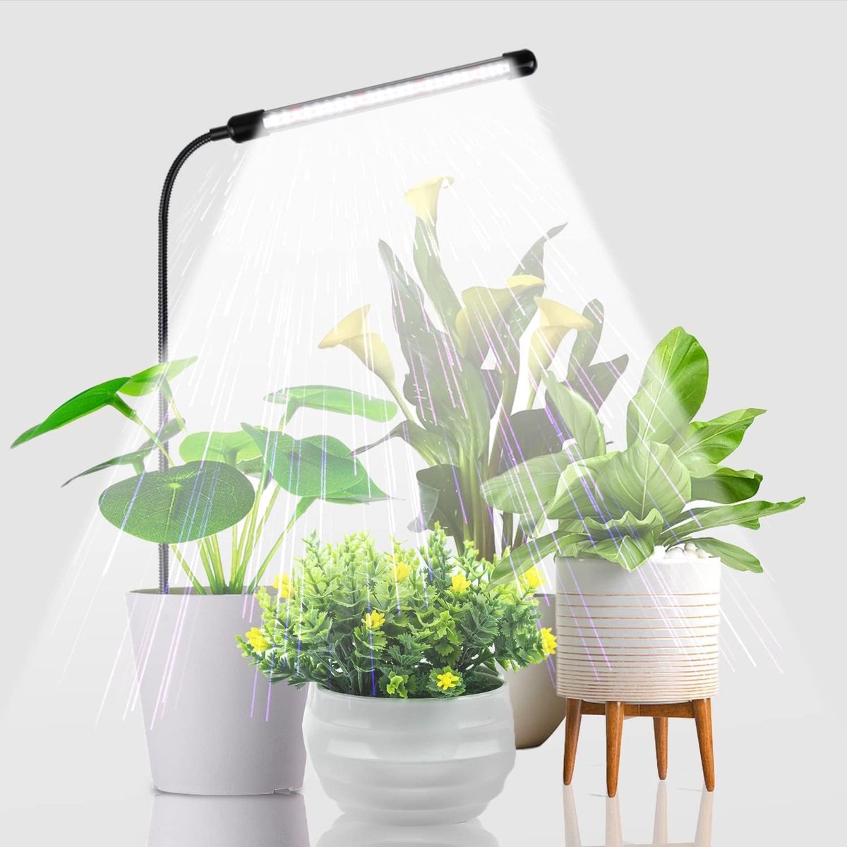 Groeilamp 6000 K volspectrum - Zwanenhals plantenlamp met timer voor zaaien - Indoorplanten