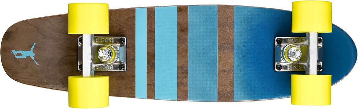Mini Cruiser Skateboard 55cm Compleet Gemonteerd Met Zachte Wielen