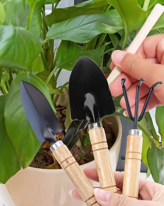 Tuinmiddelen, 6 stuks tuinredschappen, Mini tuinredschappen, Geschikt voor het losmaken van de bodem en het transplanteren van kleine potplanten, voor tuinliefhebbers van Merkloos	 — afbeelding 4