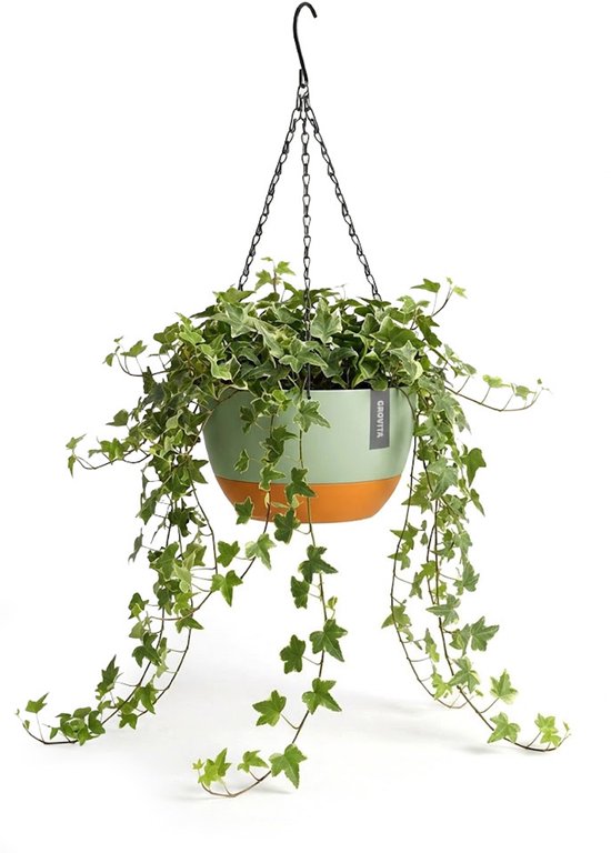 Pot de fleurs suspendu vert avec accent orange et une plante aux longues feuilles vertes retombantes.