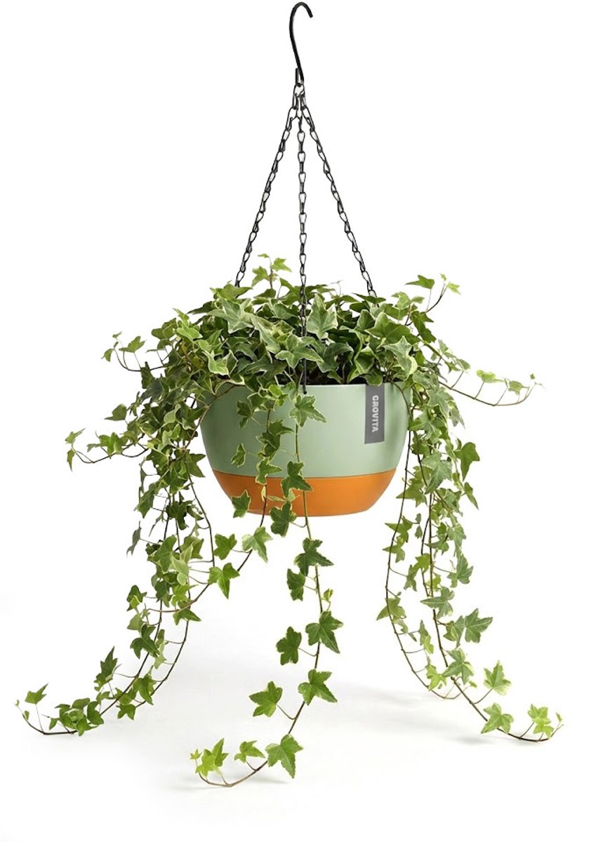 Hangpot met Afwatering - Groen - Ø 21 cm x H 12 cm - Ook Geschikt Als Bloempot - Voor Binnen en Buiten - Waterreservoir